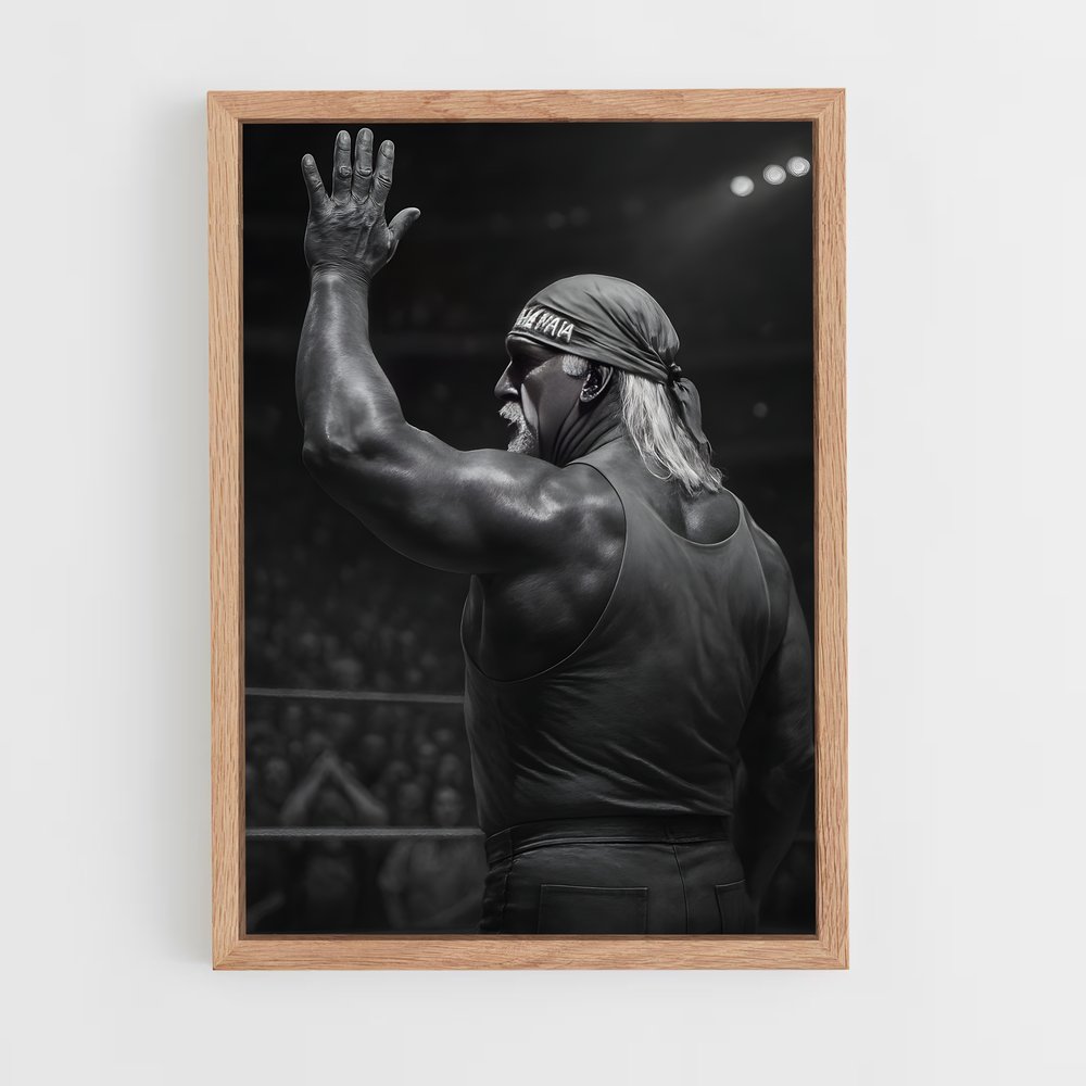 Poster Hulk hogan (vue 4)